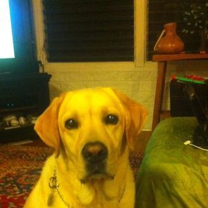 Meet your Posher, Katy